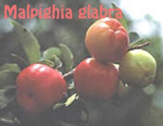 Kopie von Bild 028.jpg